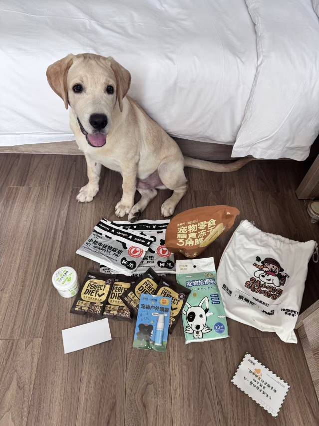 日照安泰渔港村落民宿(岚山海上碑店)图片