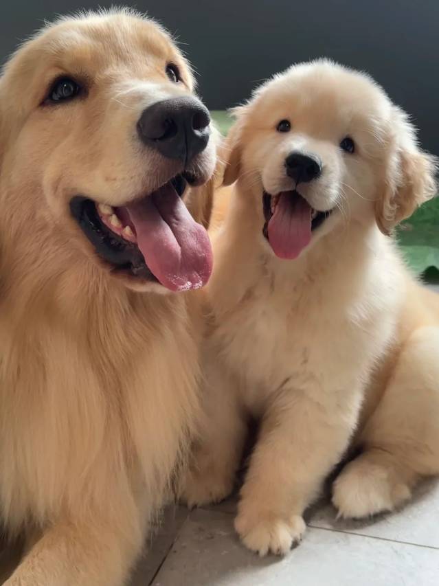 宁国·栖溪别院·杉山映溪·轻奢度假民宿(板桥水墨汀溪风景区店)图片