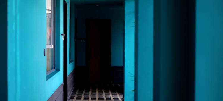 大理莫妮卡Monica多肉花园·设计师美宿(才村龙龛码头店)图片