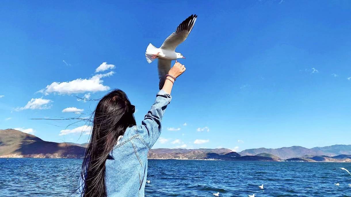 大理Bingo·海逸十号海景客栈(洱海才村码头店)图片