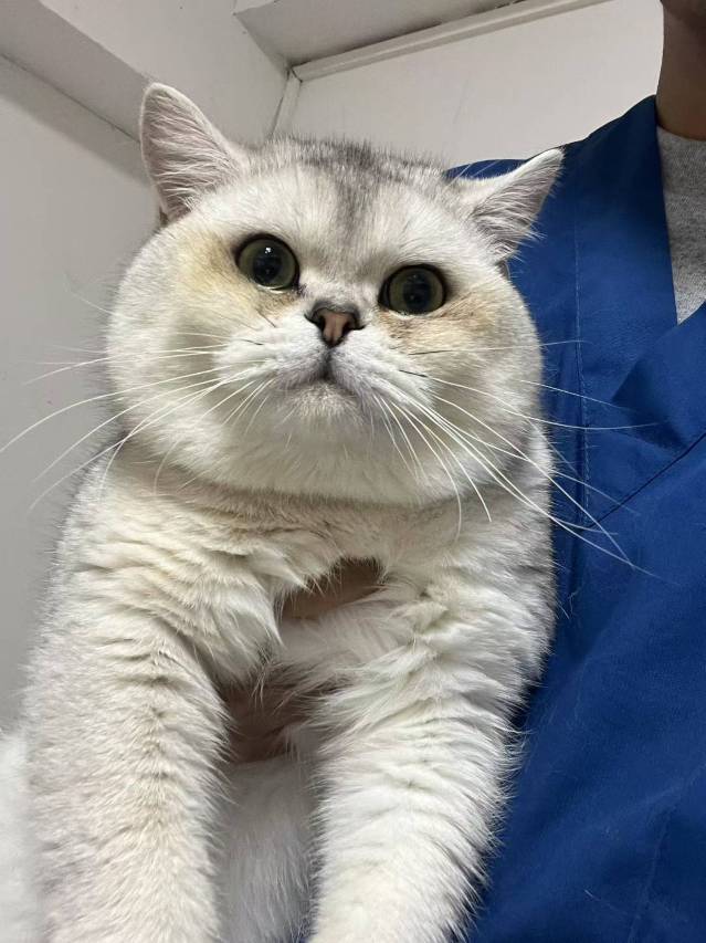 悦山精选酒店(江口梵净山公园民俗街店)图片