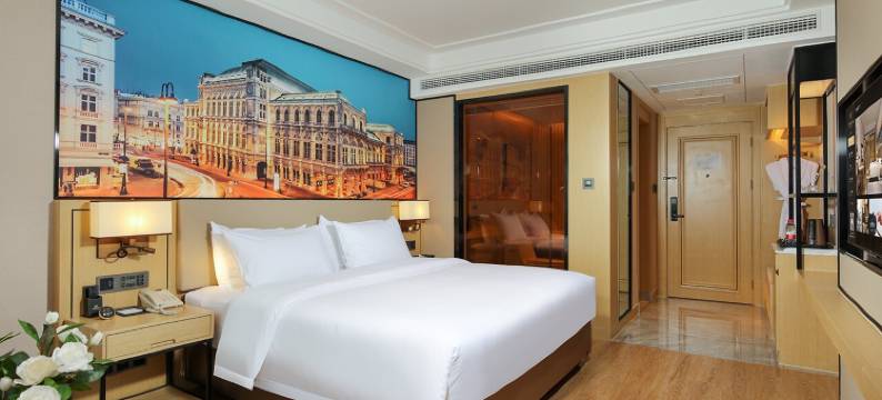 维也纳国际酒店(益阳大道店)图片