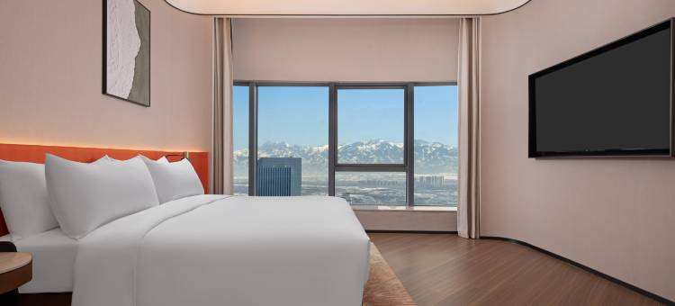 乌鲁木齐国际会展中心希尔顿花园酒店图片