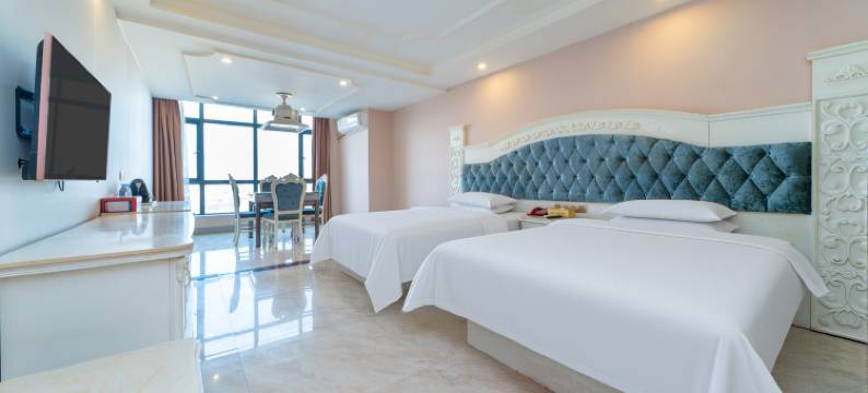 邵东维多利臻品酒店图片