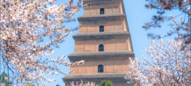 轻住·悦享酒店(西安大雁塔地铁站店)图片