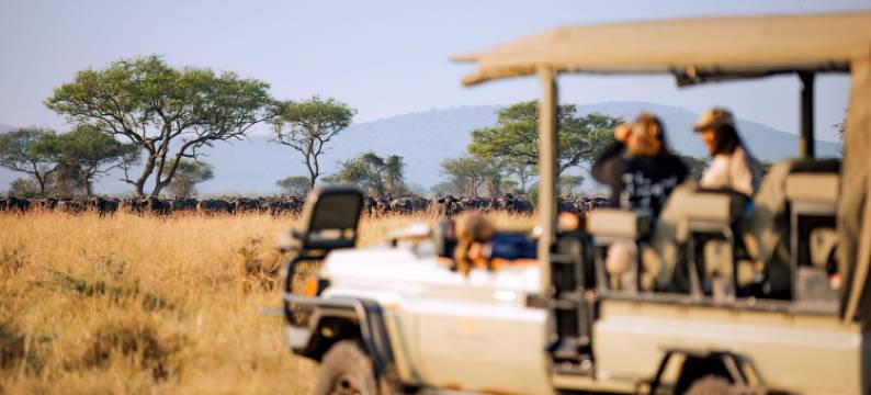 Kirawira Serena Camp图片