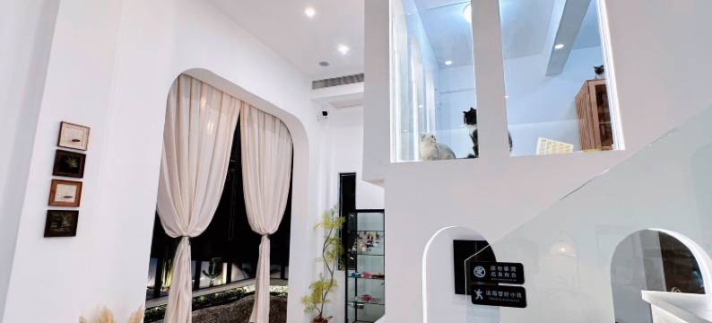 北海邻海听风客栈(侨港海滩店)图片