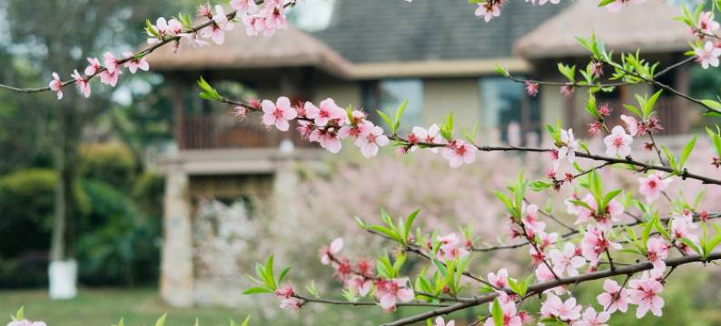 峨眉山乌兰度假酒店图片