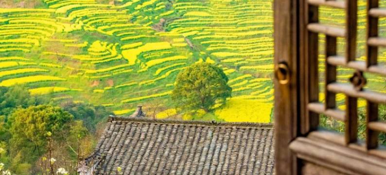 徽韵・百川茗舍·云栖望山观景民宿图片