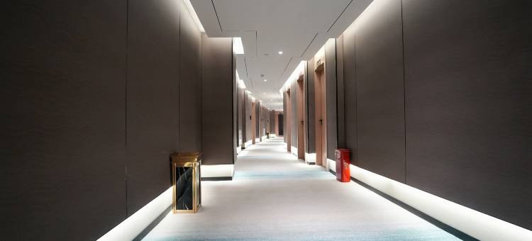 含舍美素国际酒店(G219定结县政府店)图片