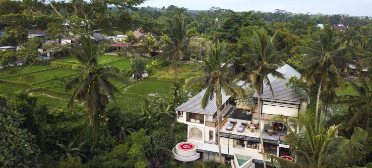 乌布苏阿拉阿拉姆酒店-Ini Vie Hospitality旗下(Suara Alam Hotel Ubud by Ini VIE Hospitality)图片