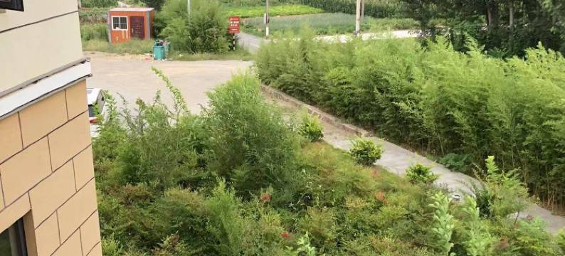 兰陵居客之家美宿图片