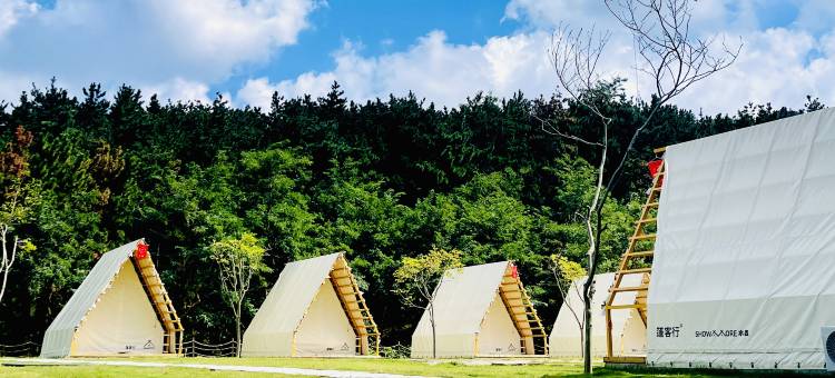 威海篷客行山海营地图片