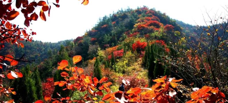 青州仰天山酒店图片