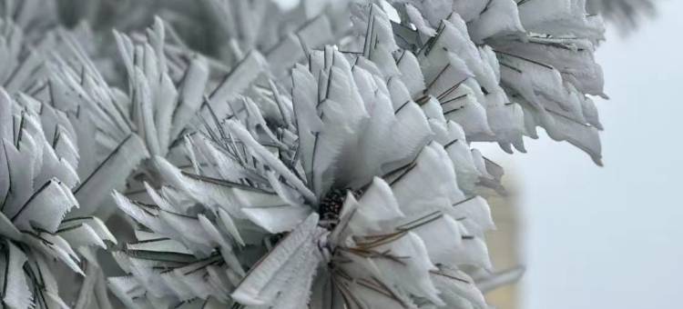 新昌天姥山天姥隐酒店图片