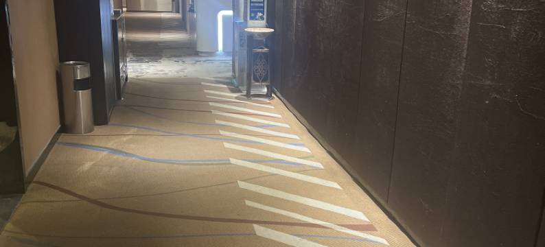 艾兰德精选酒店(合肥高铁南站店)图片