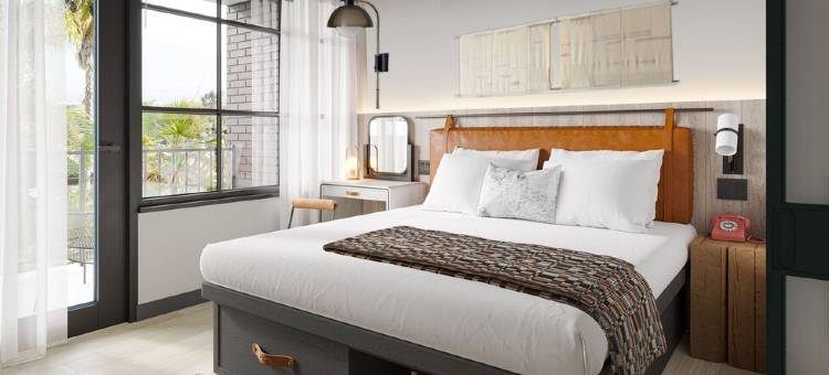 圣彼得堡市中心莫克西酒店(Moxy St. Petersburg Downtown)图片