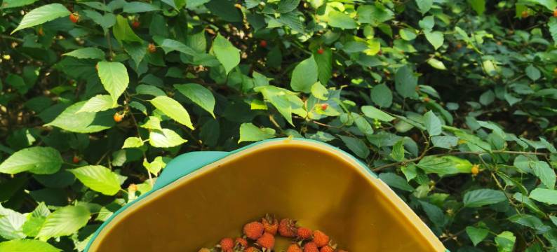 箐山里民宿(三宝国际陶艺村)图片