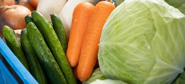 太阳农园德岛县厅前酒店(Hotel Taiyo Noen Tokushima Kenchomae)图片