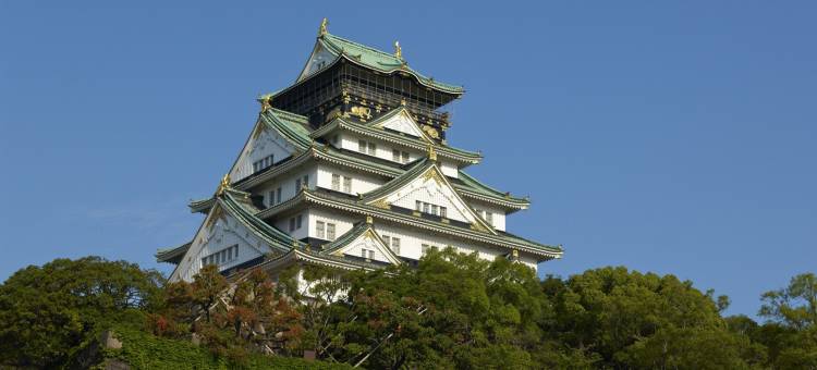 大阪国际交流中心酒店(Hotel International House Osaka)图片