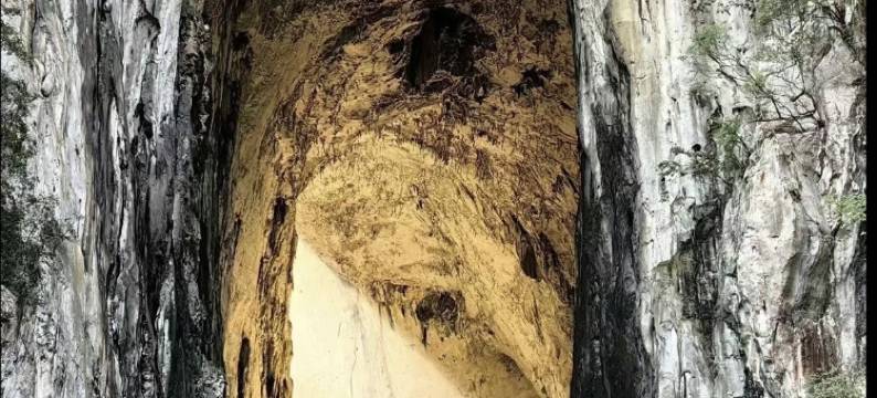 老支书苗家民宿图片