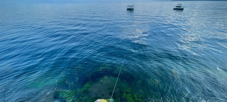 抚仙湖日出之岸民宿(禄充风景区店)图片