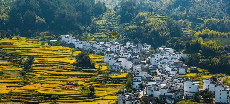 婺源花田隐舍·villa高端设计师美宿(篁岭度假区店)图片