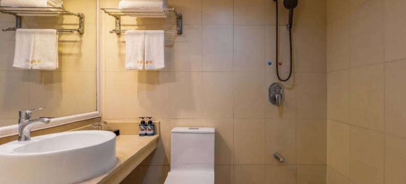 吉安劳动宾馆( 人民广场文山步行街店)图片