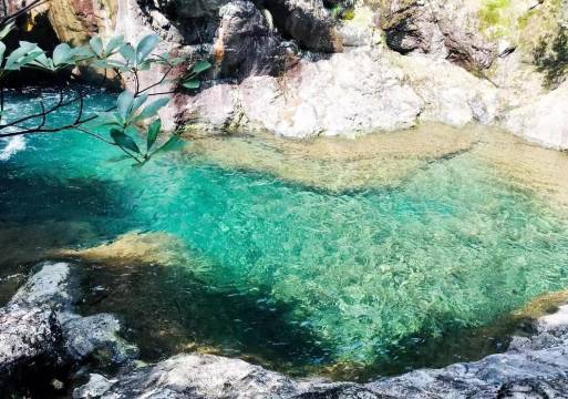 桐庐岭上白云民宿(白云源度假区店)图片