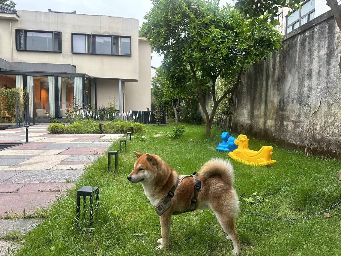 花筑奢·乌镇沐舍拾光温泉民宿图片