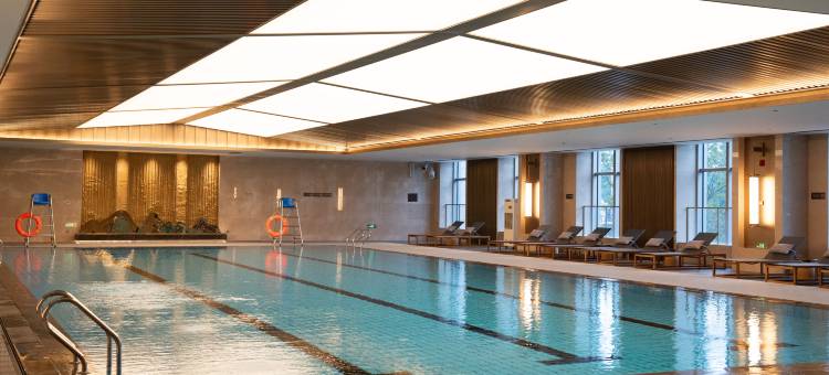 宁波新芝宾馆图片