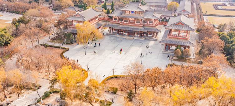 全季酒店(西安交通大学兴庆校区青龙寺地铁站店)图片