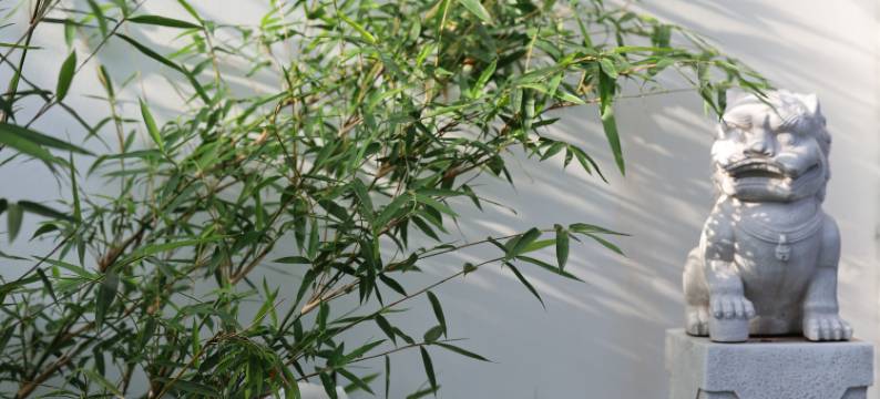 西昌邛海栖海追月民宿图片