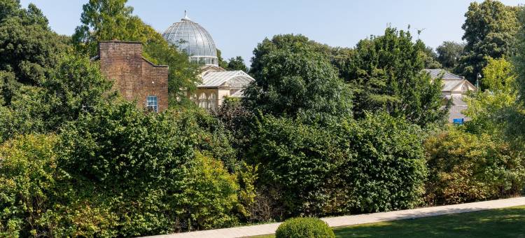 伦敦塞恩公园希尔顿酒店(Hilton London Syon Park)图片