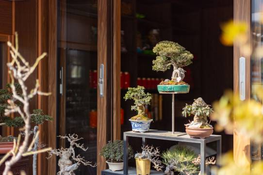 九华山凤栖里民宿(九华山上肉身宝殿店)图片