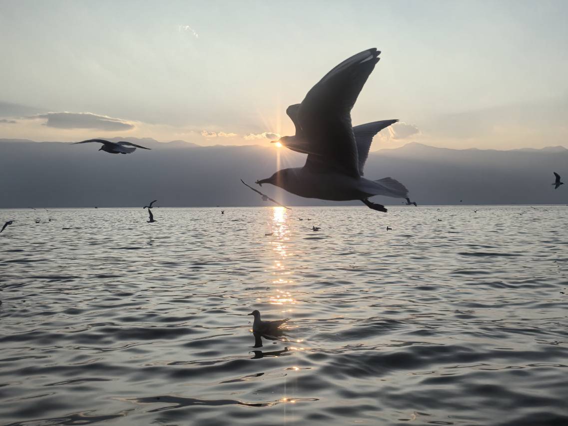 海边月光•洱海｜AWAKENING•SOULM落日海景设计师酒店(小普陀店)图片