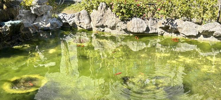 洁喆书香酒店(泰州坡子街老街店)图片