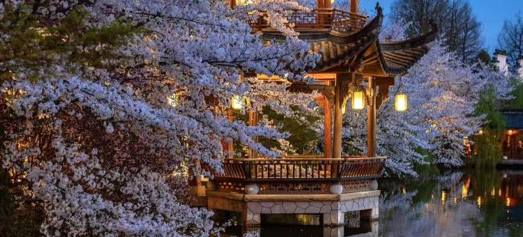 中国院子·梦溪苑·隐居酒店图片