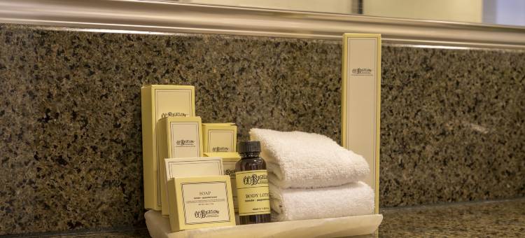 费斯塔美洲巴亚以塔港全包酒店及水疗中心(Fiesta Americana Puerto Vallarta All Inclusive & Spa)图片