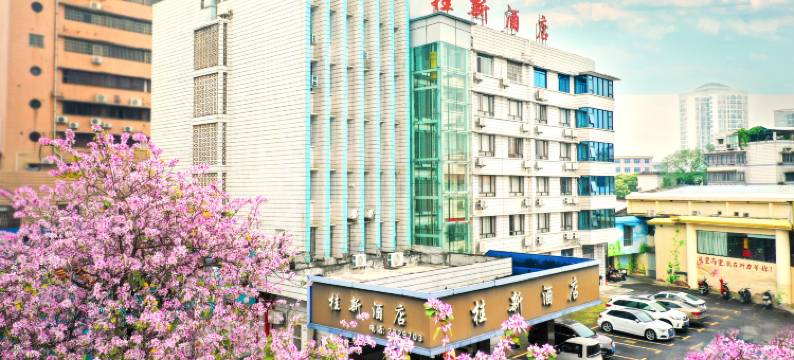 桂新酒店(柳州三中保利广场店)图片