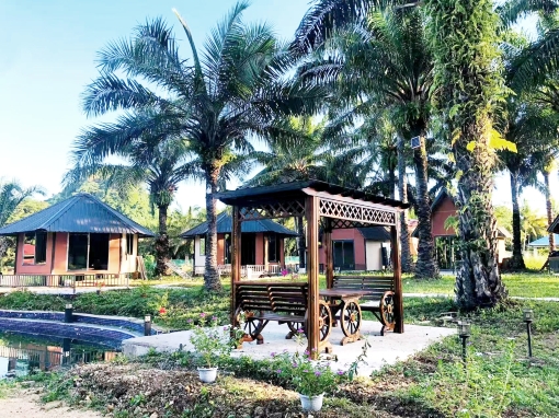 Nature Resort Hotel Overview