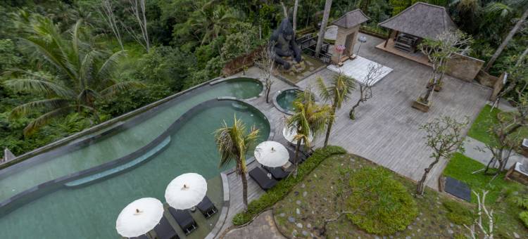 星野丛林度假村(Hoshi Jungle Resort)图片