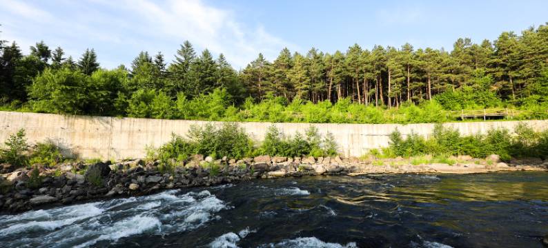 澜舍 Serene Haven 套房酒店(长白山美人松雕塑公园店)图片