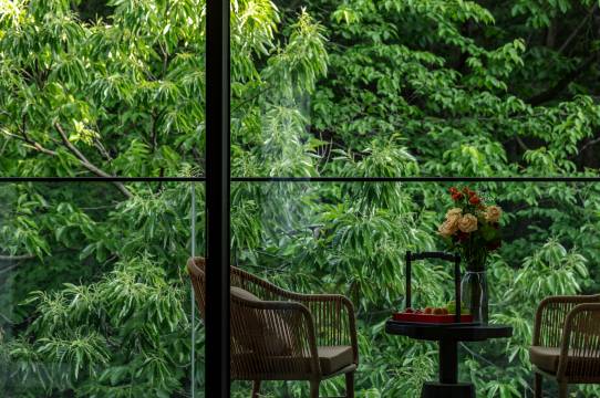 畔山有礼民宿(老君山云景索道店)图片