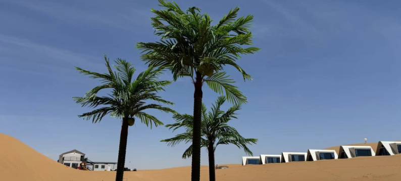 中卫沙漠空间站图片