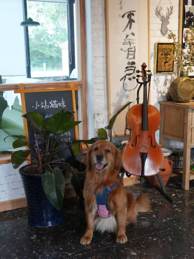 花筑·及尔小站原筑民宿(乌兰哈达火山地质公园店)图片