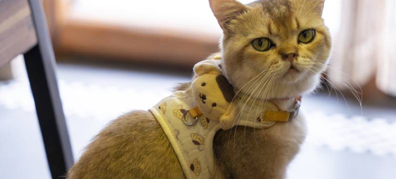 西递壹半艺术民宿图片