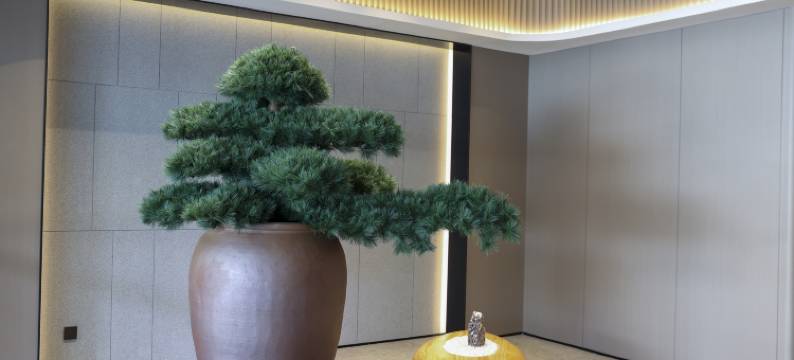 全季酒店(上海外滩天潼路店)图片