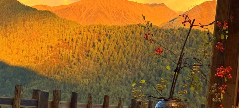 四姑娘山御宿苑·山野度假酒店(长坪沟景区店)图片