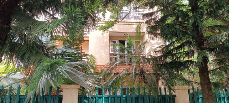 88 伊霍姆 内排机场(88 Ehome Noibai Airport)图片